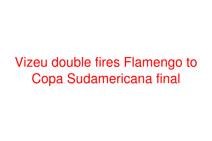 Vizeu double fires Flamengo to Copa Sudamericana final