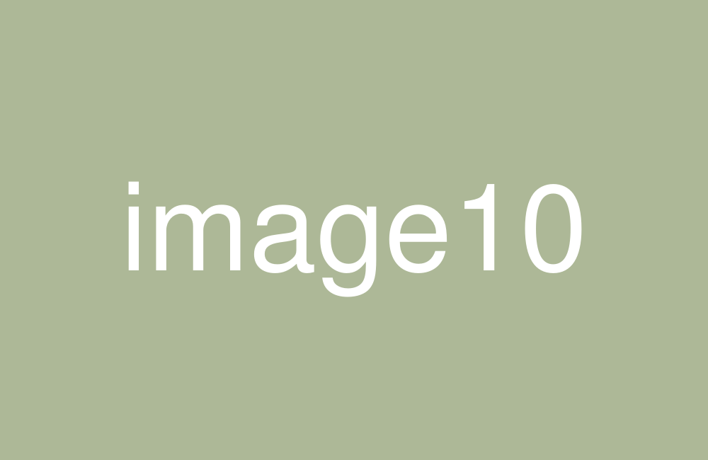 img10