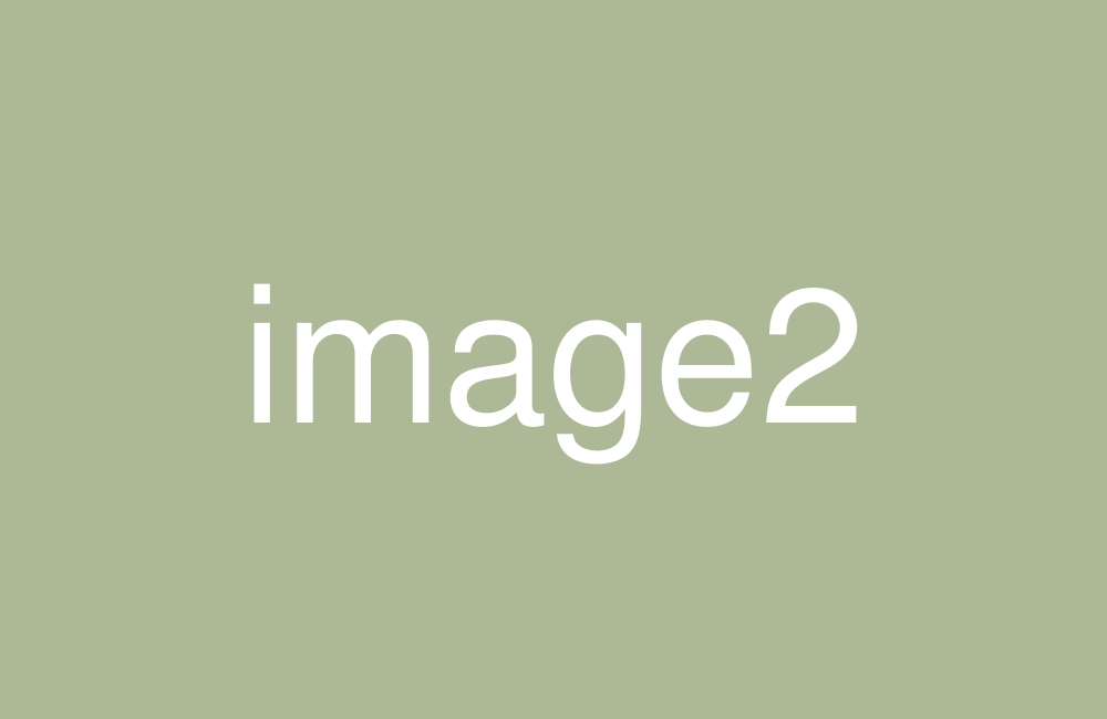 img2