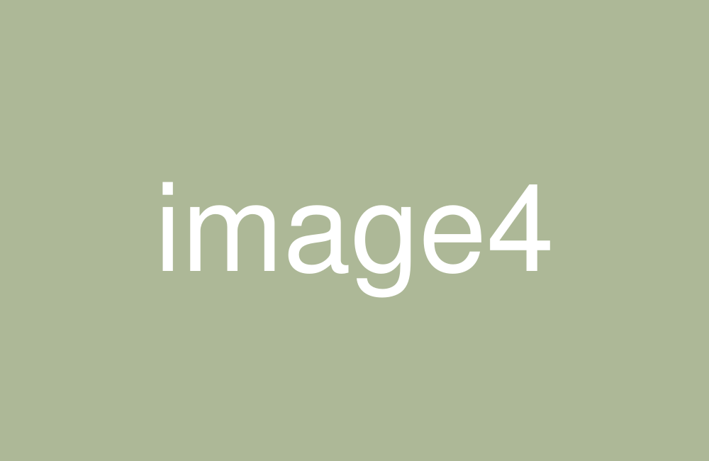 img4