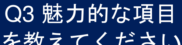 Q3 魅力的な項目を教えてください