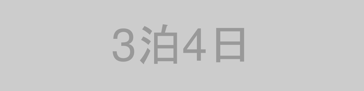 3泊4日