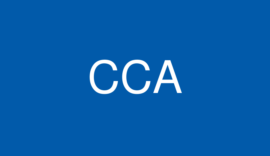 Certificate in Computer Application