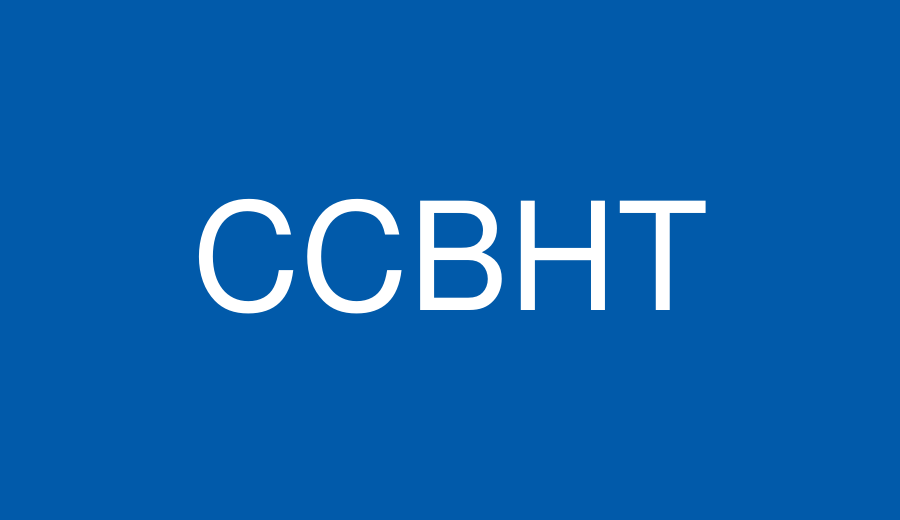Certificate In Computer Based Hindi Typing