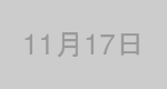 11月17日生まれの有名人
