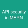 API security in MERN