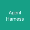 Agent Harness