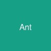 Ant