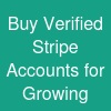 Buy Verified Stripe Accounts for Growing