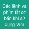 Các lệnh và phím tắt cơ bản khi sử dụng Vim