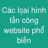 Các lọai hình tấn công website phổ biến