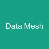 Data Mesh