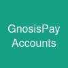 GnosisPay Accounts