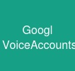 Googl VoiceAccounts