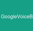 GoogleVoiceBulk