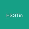 HSGTin