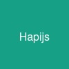 Hapi.js