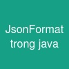 @JsonFormat trong java