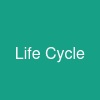 Life Cycle