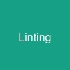 Linting