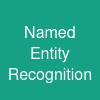 Named Entity Recognition