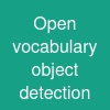 Open vocabulary object detection