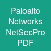 Paloalto Networks NetSec-Pro PDF
