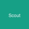 Scout