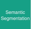 Semantic Segmentation