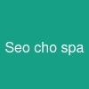 Seo cho spa