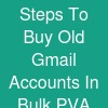 Steps To Buy Old Gmail Accounts In Bulk (PVA