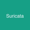 Suricata