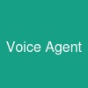 Voice Agent