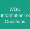WGU Information-Technology-Management Questions
