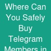 Where Can You Safely Buy Telegram Members in 2026?