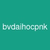 bvdaihocpnk