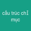 cấu trúc chỉ mục