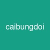 caibungdoi