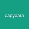 capybara