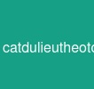 catdulieutheotoken