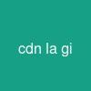 cdn la gi