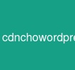 cdnchowordpress