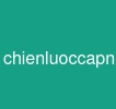 chienluoccapnhatembedding