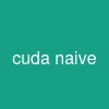 cuda naive