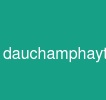 dauchamphaytrongjava