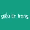 giấu tin trong