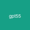 gpt5.5