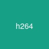 h264