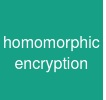 homomorphic encryption