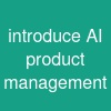 introduce AI product management